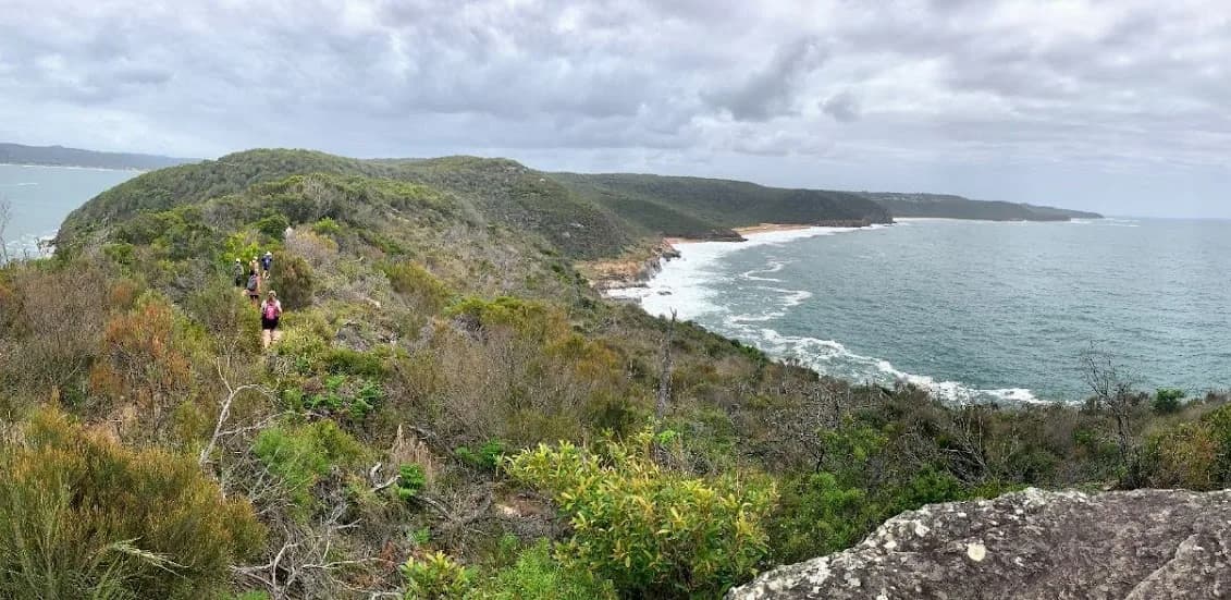 Map of leech-free bushwalks on the Central Coast