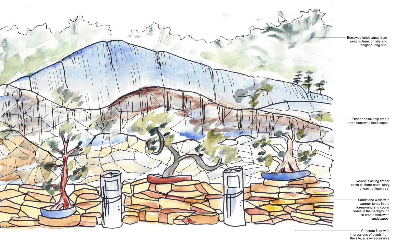 Watercolour sketch of Somersby Bonsai Gallery, bonsai on sandstone terraces