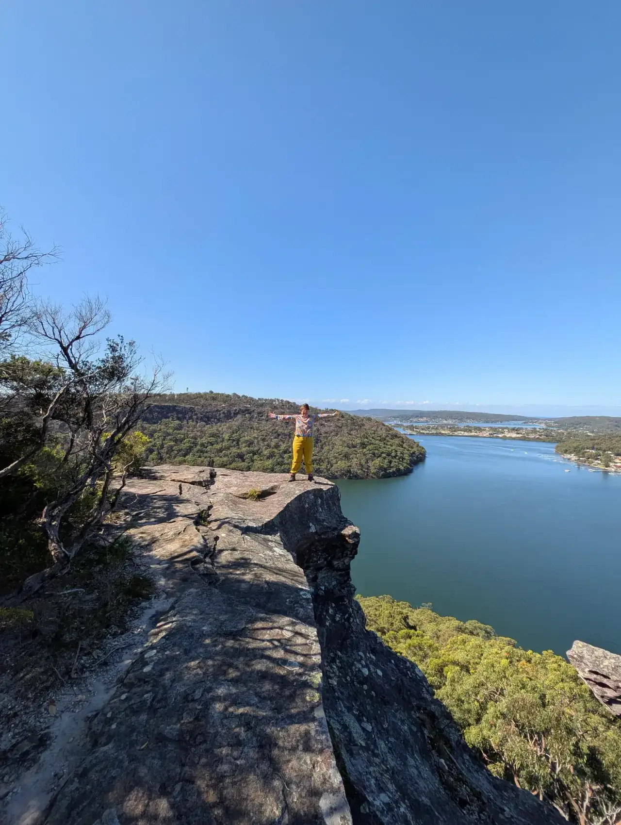 Walking through a cool gully on the Central Coast