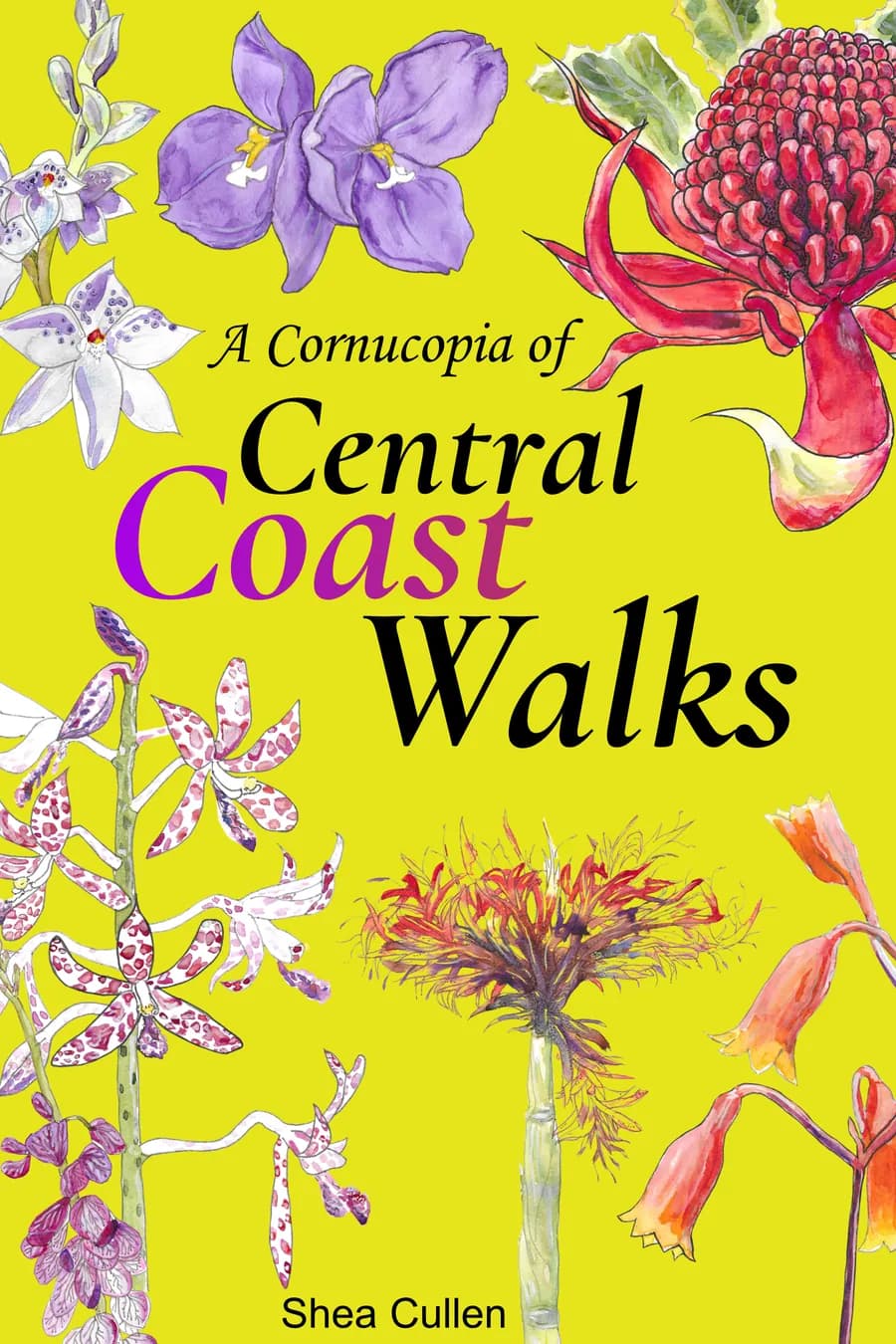 The cover of A Cornucopia of Central Coast Walks: watercolour wildflowers, including a waratah and orchids, on a bright yellow background