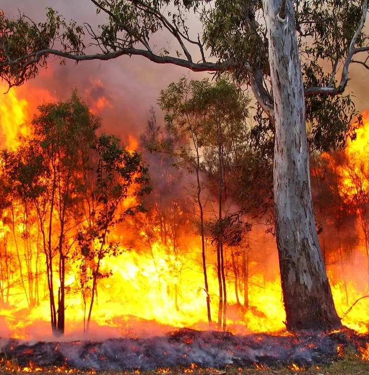 Australian Bushfire