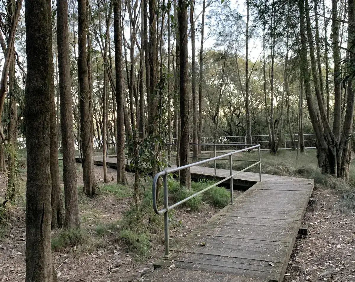 Adcock Park Mangroves (0.4km) photo 1