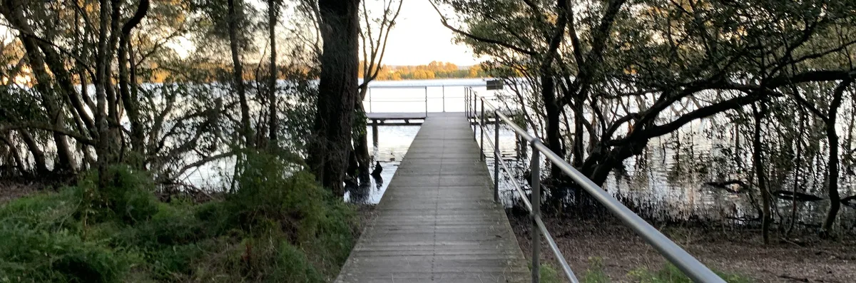 Adcock Park Mangroves (0.4km) photo 2