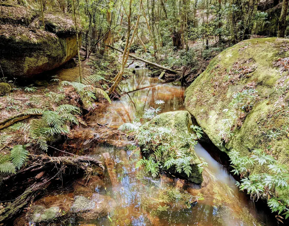 Boardinghouse dam
