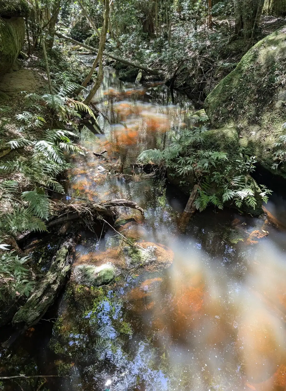 Boardinghouse dam