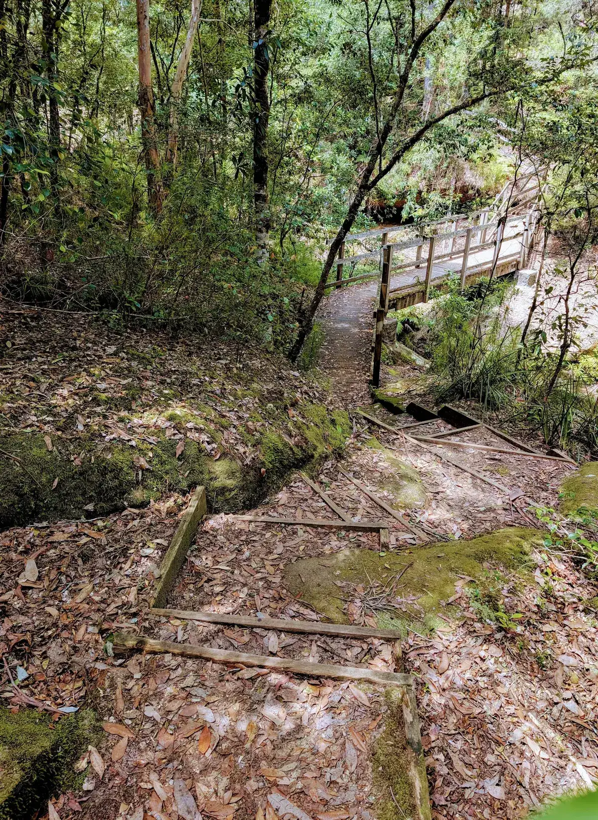 Boardinghouse dam