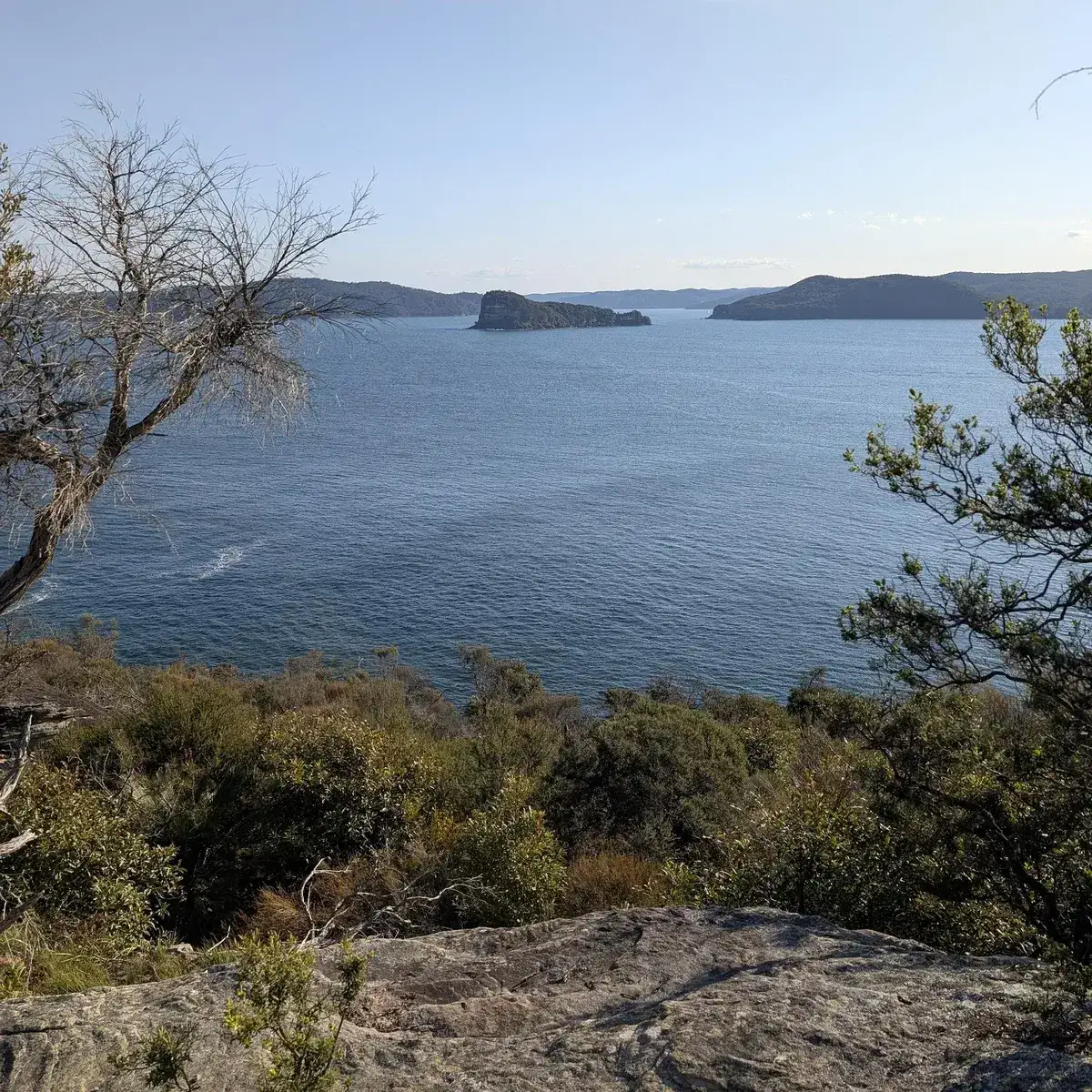 View of Lion Island from Box Head
