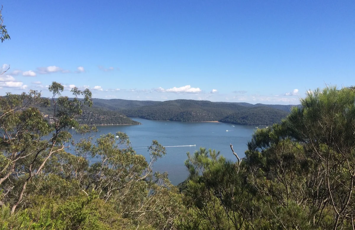 Broad view of the Hawkesbury River winding between forested ridges