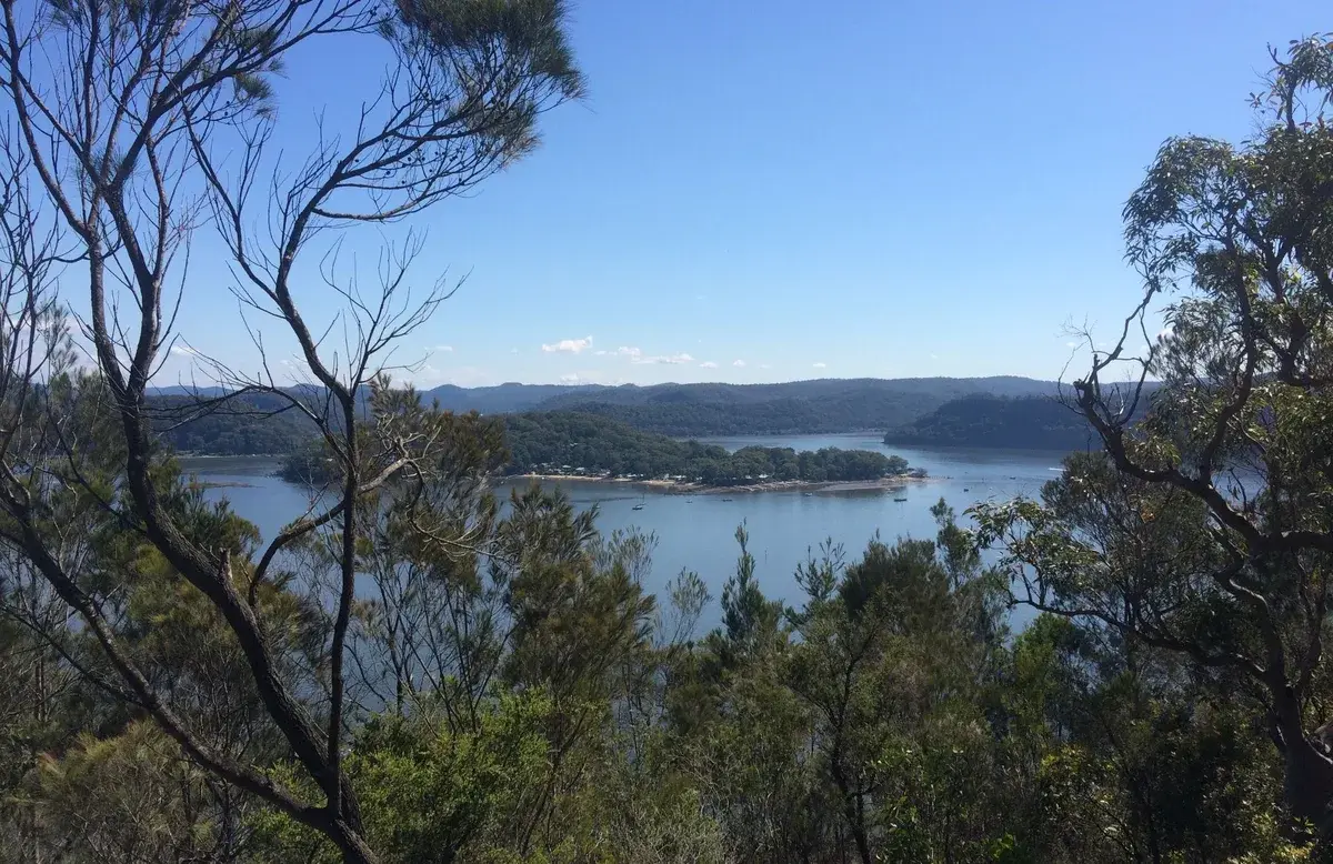 Bushland lookout over a river bend dotted with anchored boats
