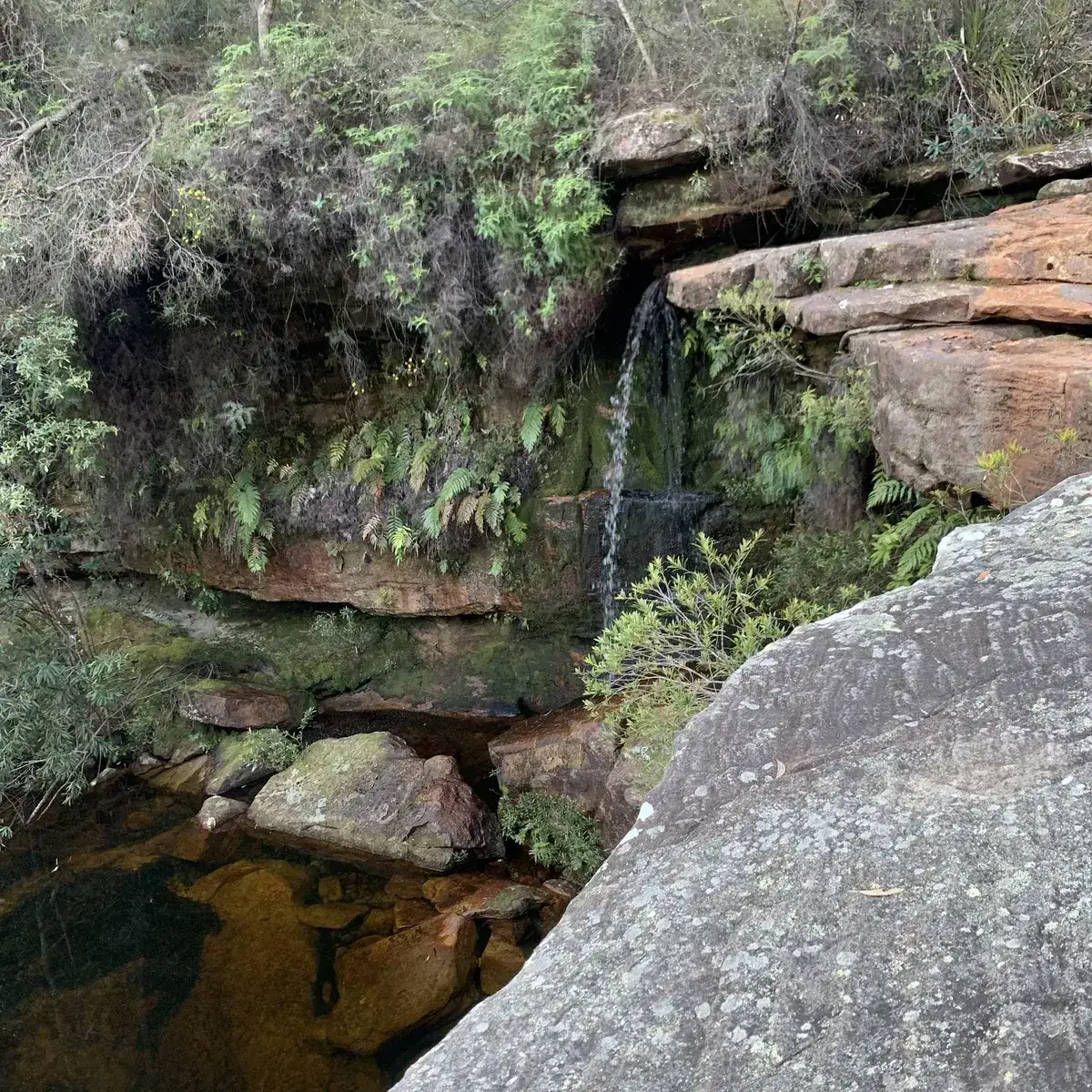 Waterfall at Little Wobby