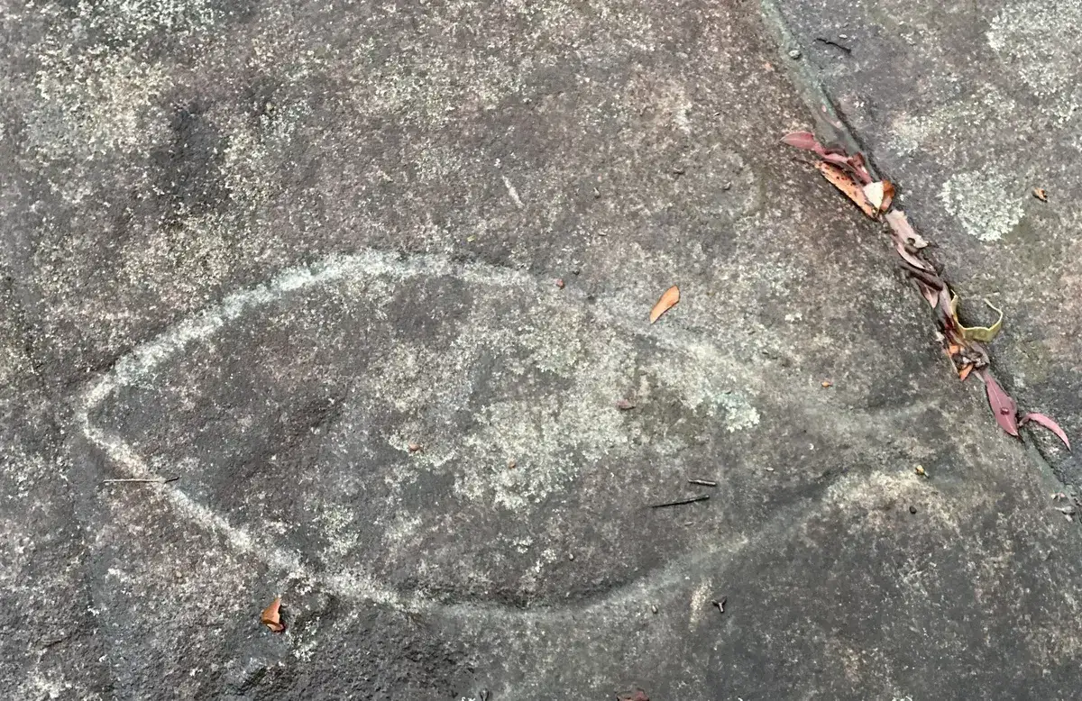 Bulgandry engraving of a fish