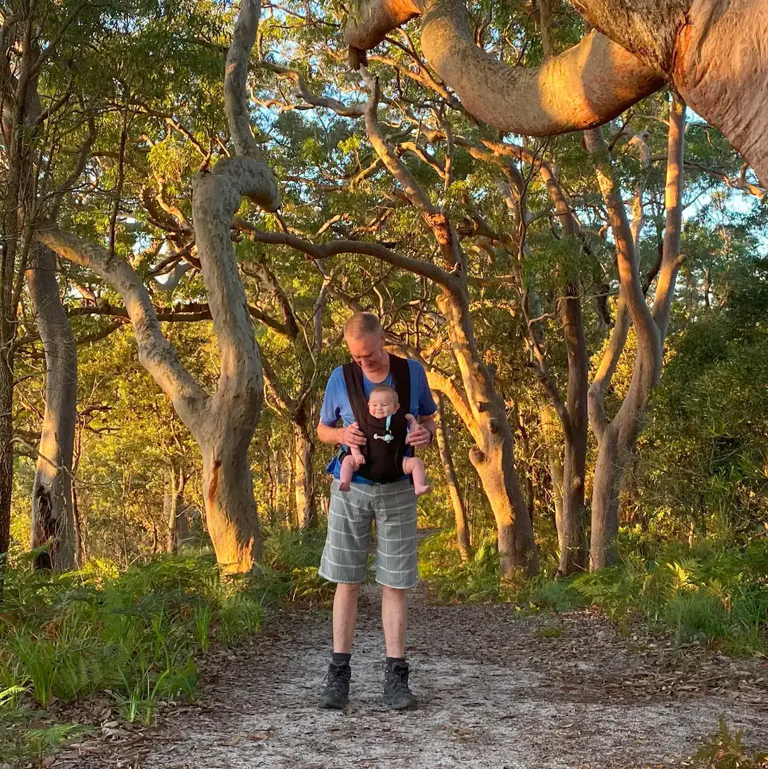 Short/ Beginner Bushwalks