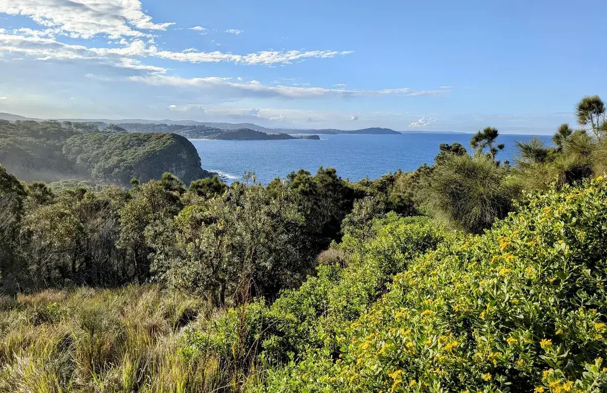 View from Captain Cook's Lookout