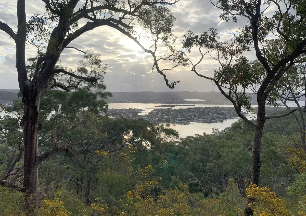 sunset at daleys point