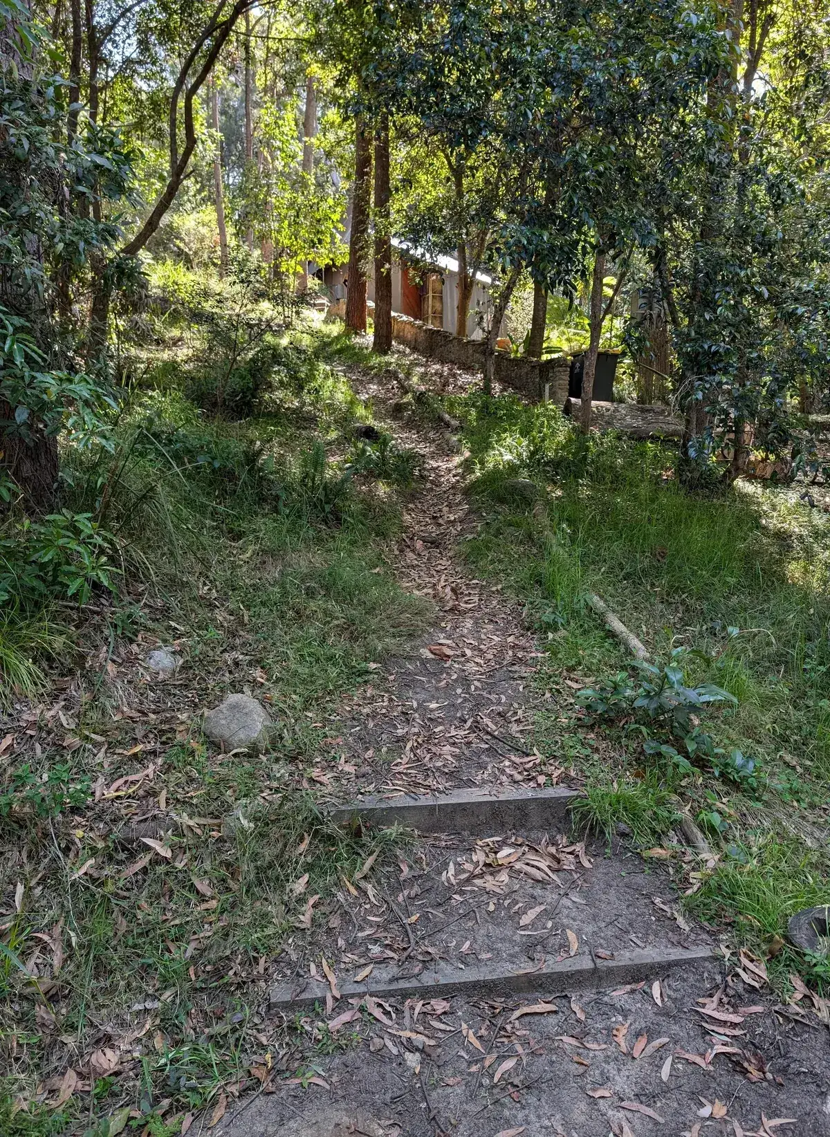 Bush track and steps climbing past a cottage on Dangar Island
