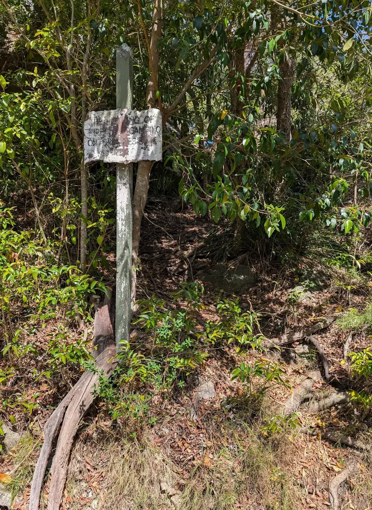 Weathered fire and camping restriction sign along the bush track