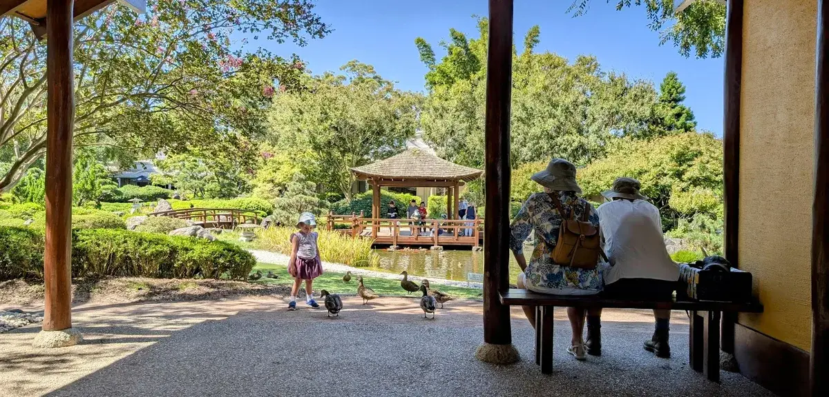 East gosford friendship walk