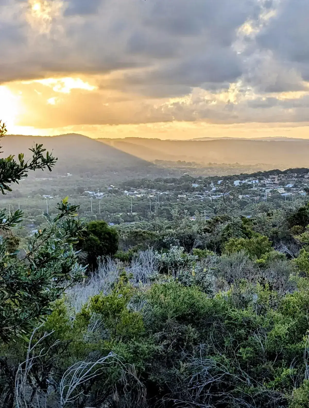 Golden sunset light over Central Coast bushland and coastal suburbs