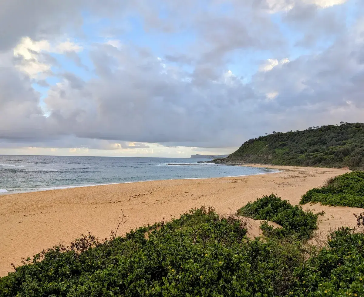 Forresters Beach curving toward a green headland under cloudy skies