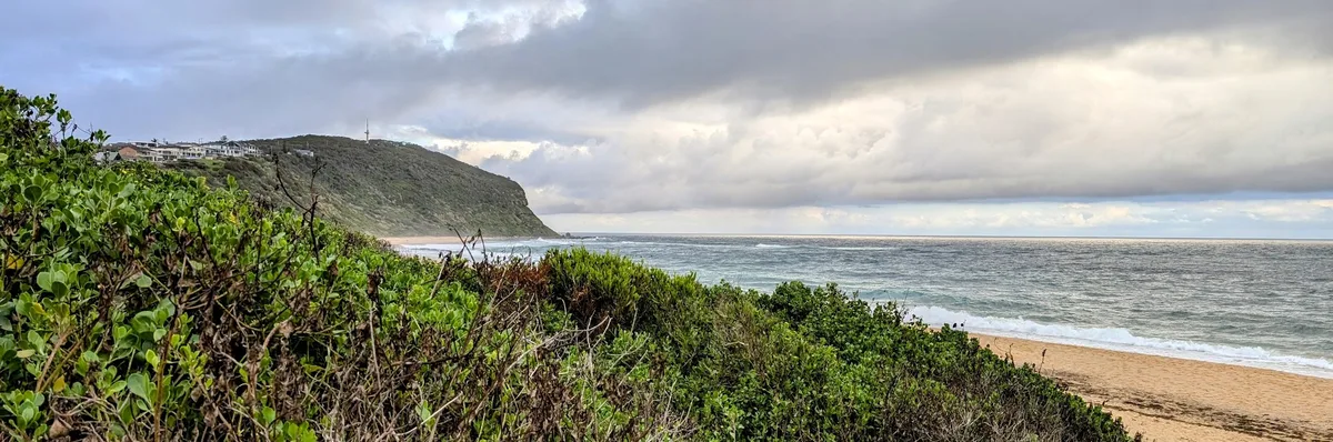 Coastal headland and houses above Forresters Beach at dusk