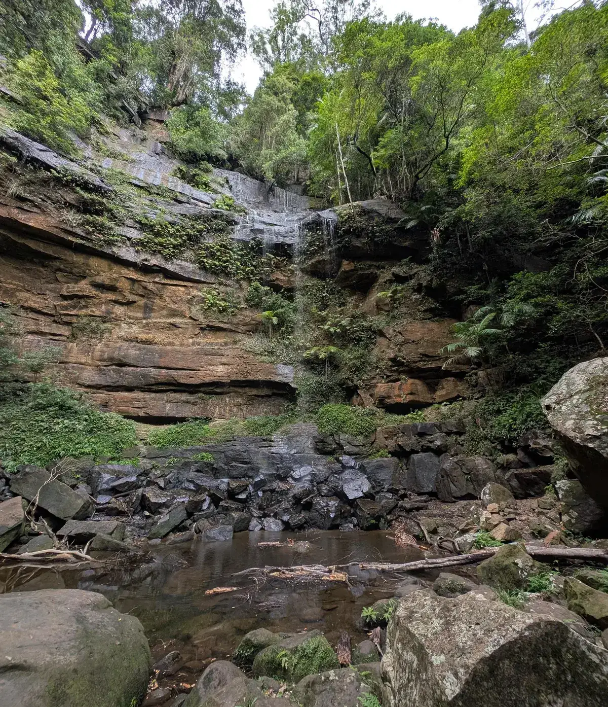 Gap Creek Falls seen from the rock pool below, framed by rainforest