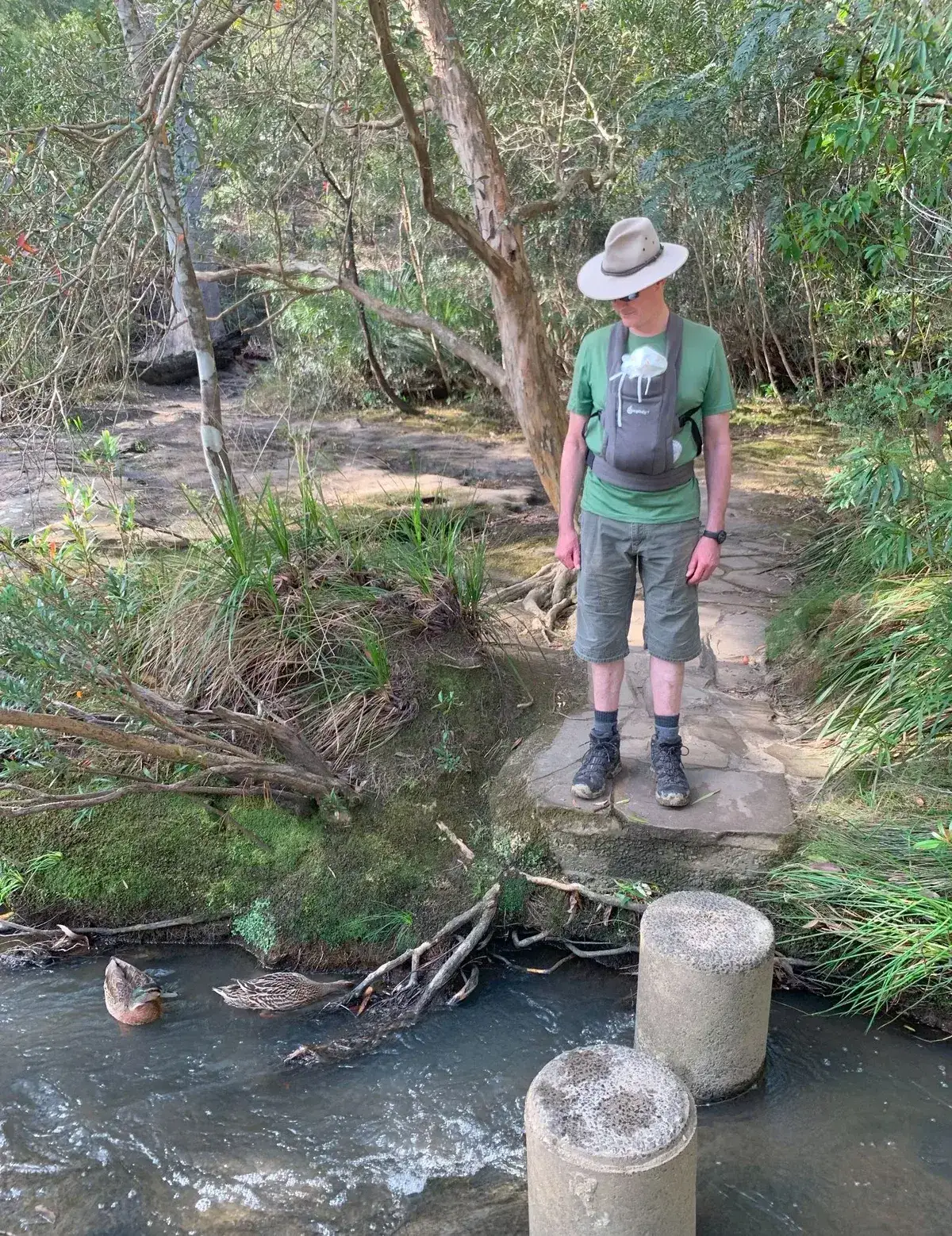 Hiker with baby carrier overlooking ducks from a rocky creek crossing at Girrakool