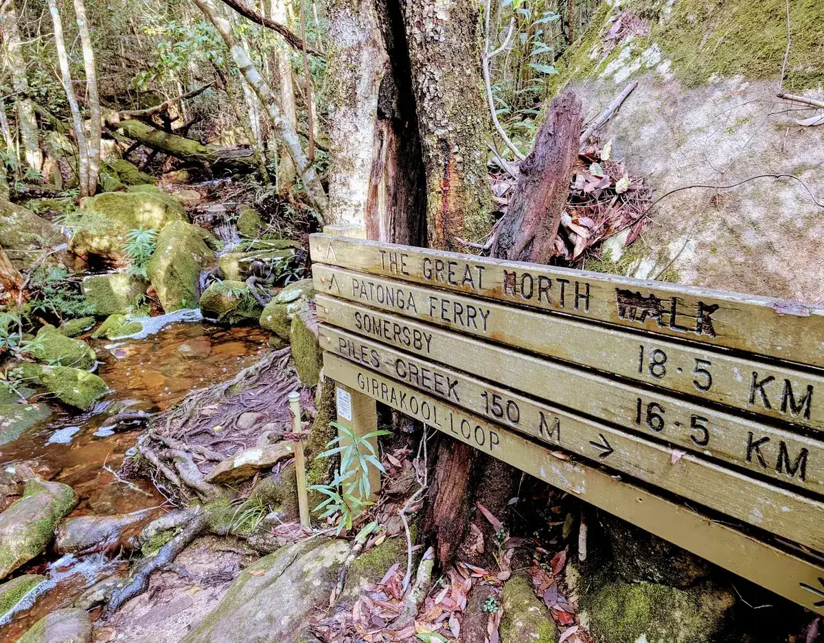 Great North Walk trail sign marking the Piles Creek and Girrakool Loop junction