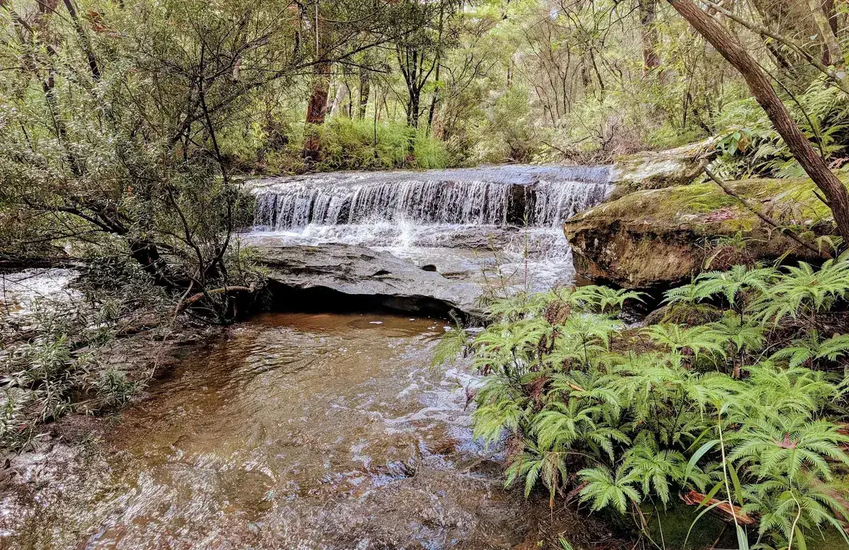 small waterfall at girrikool piles creek loop