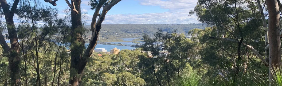 View through eucalypts down to Gosford's waterway and CBD from the Rumbalara ridge