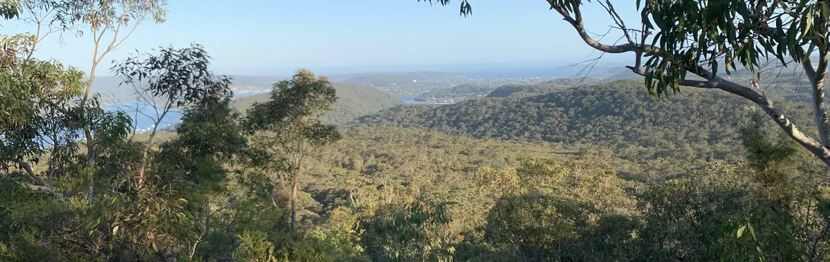 Distant coastline and hills viewed through the bush canopy near Mount Elliot