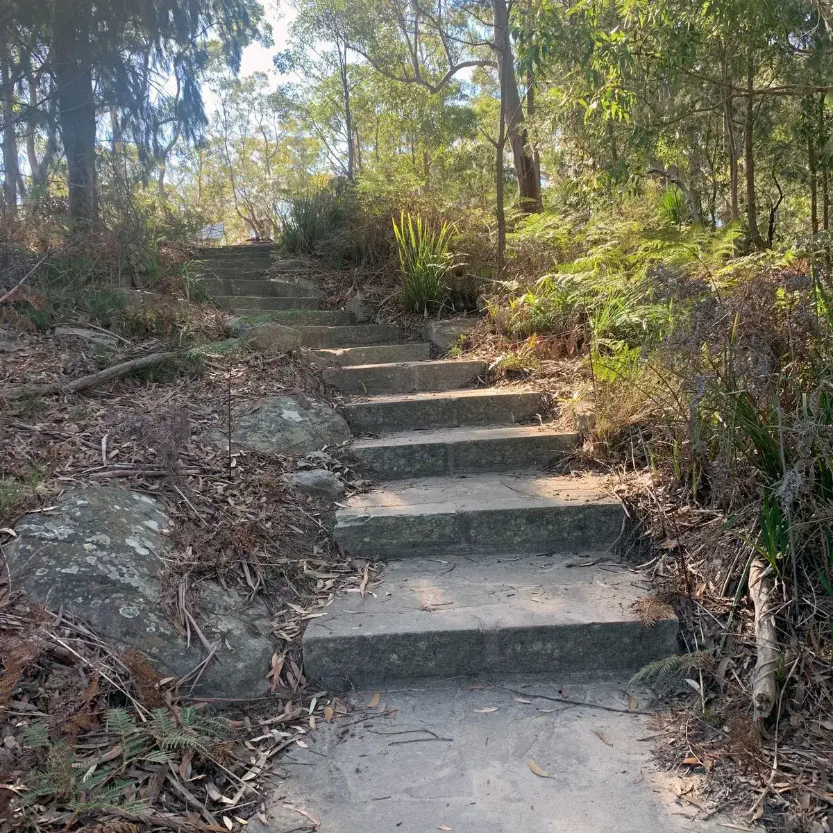 Sandstone steps climbing through bushland on the Gosford to Wyoming track