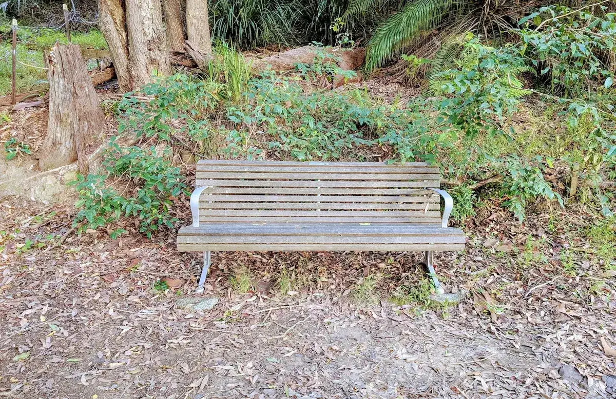 Leaf littered gravel path through open eucalypt woodland at Hardys Bay
