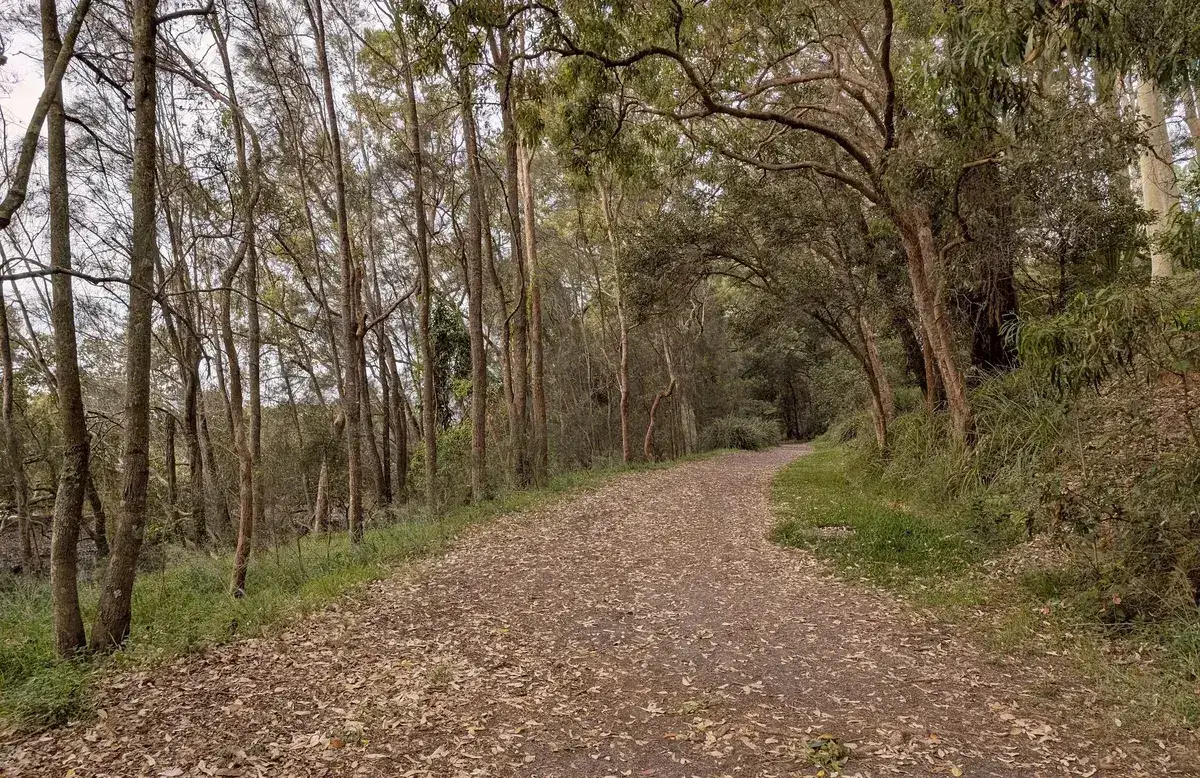 Central Coast Council reserve rules and bush regeneration signage on the trail