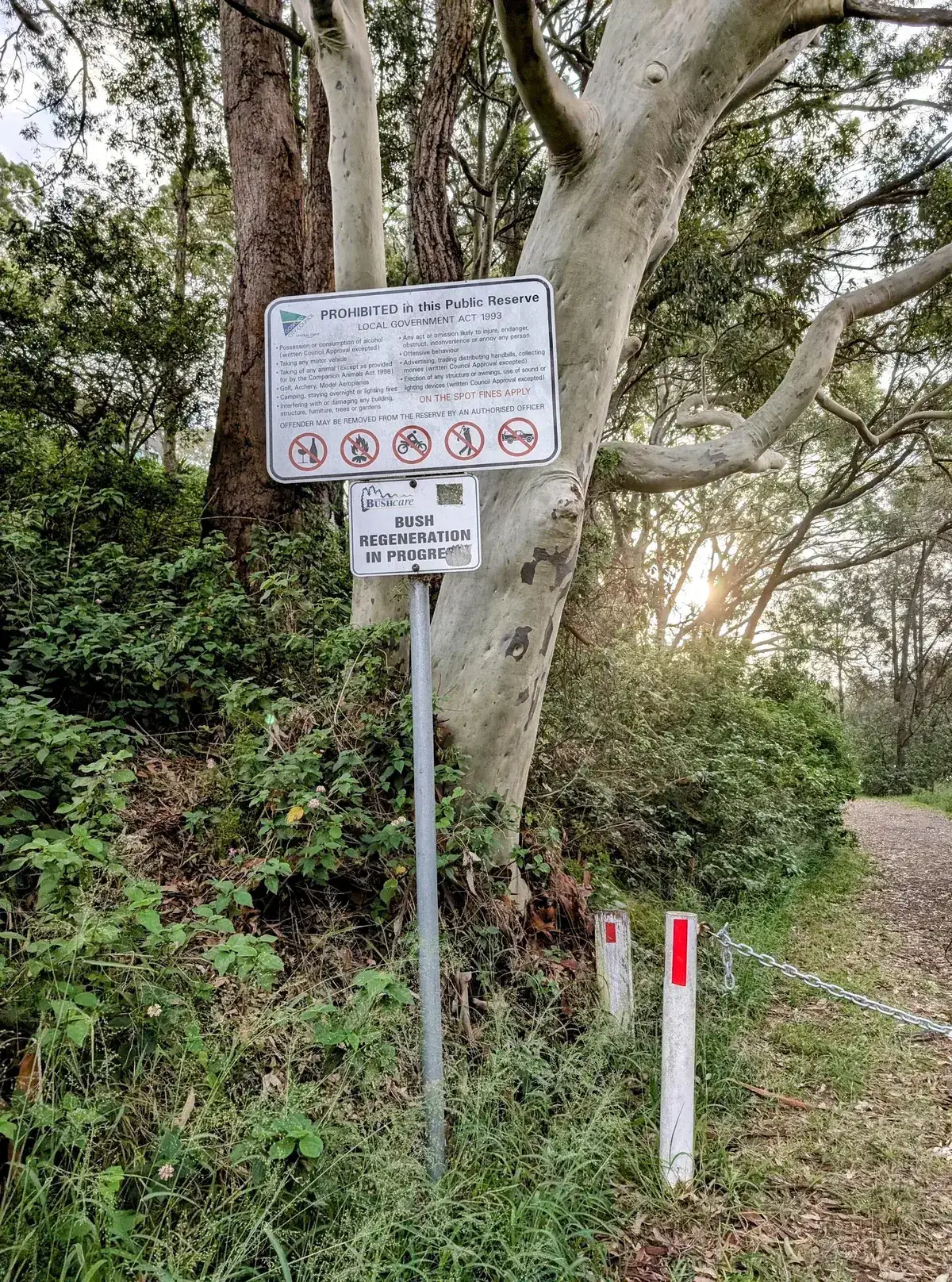 Reserve rules sign and bush regeneration notice among trees at the trailhead