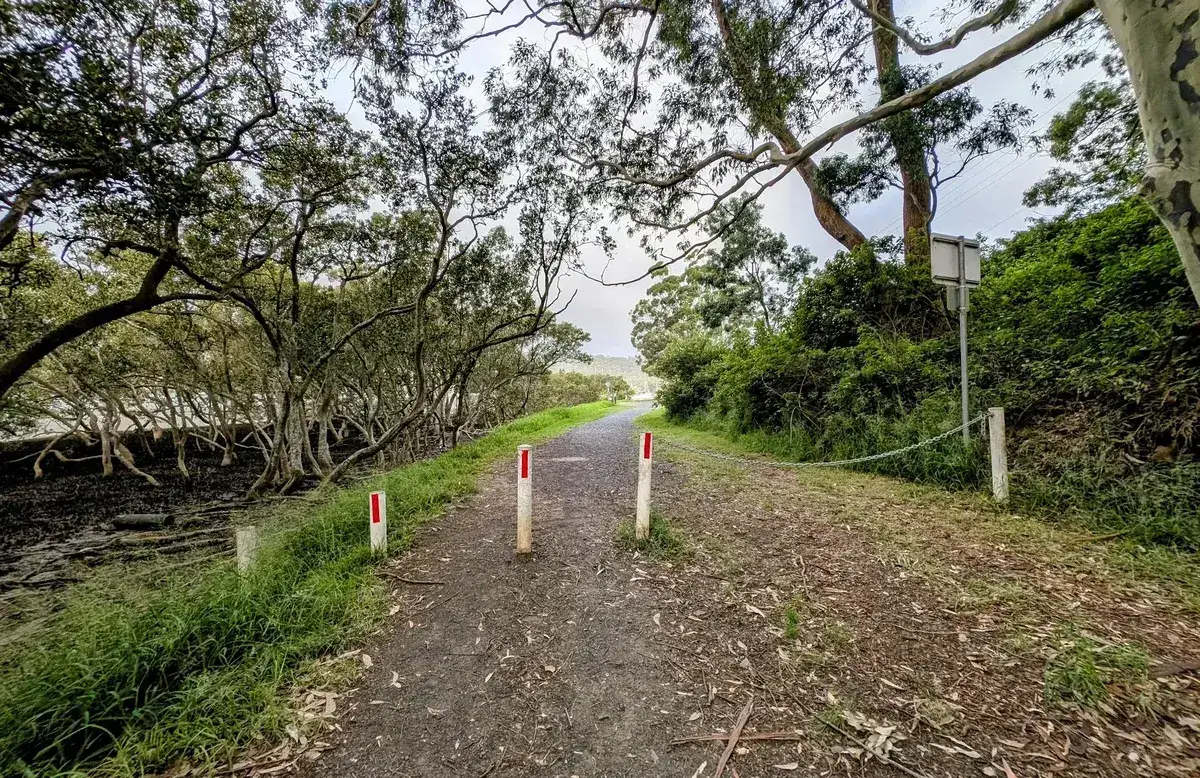 Gravel path lined with red and white bollards past mangroves at Hardys Bay