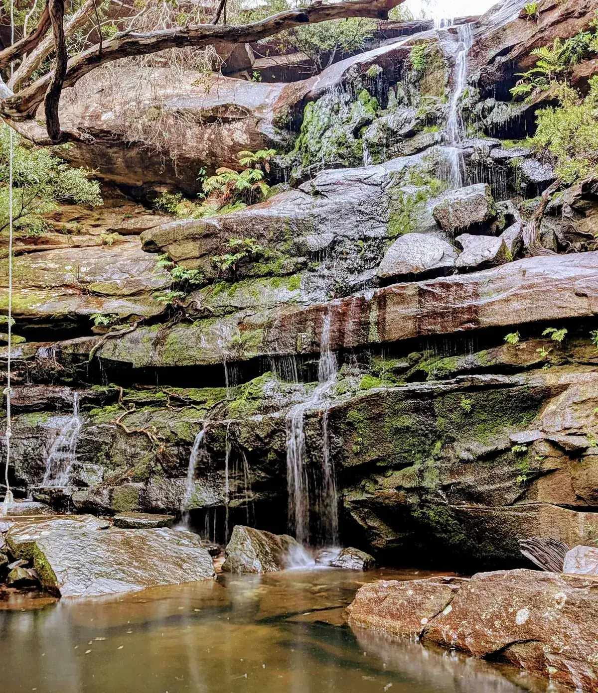 Kariong brook falls