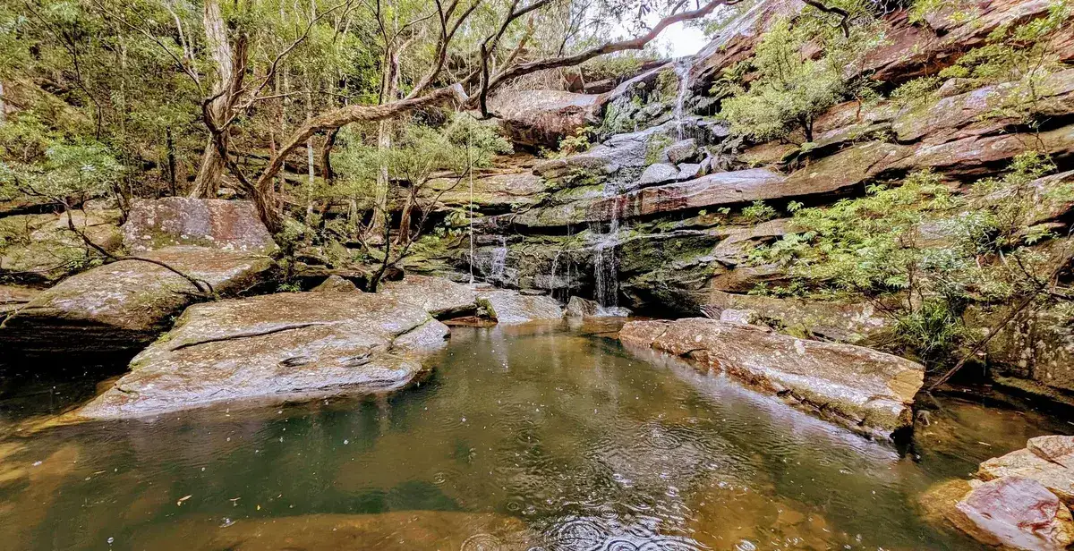 Kariong brook falls