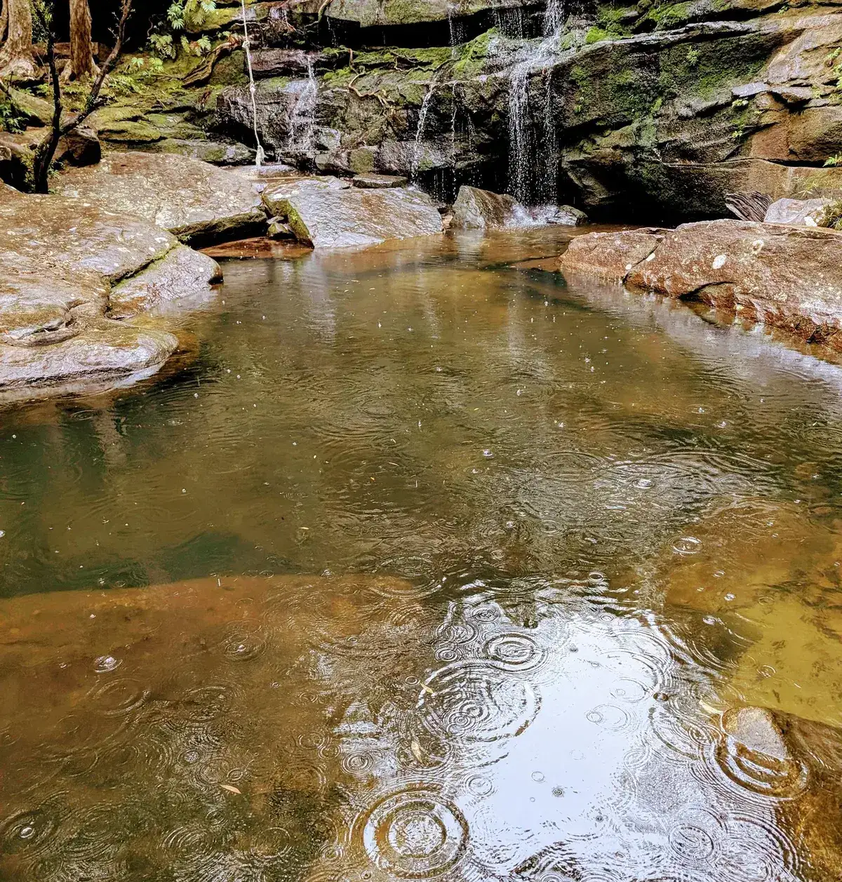Kariong brook falls