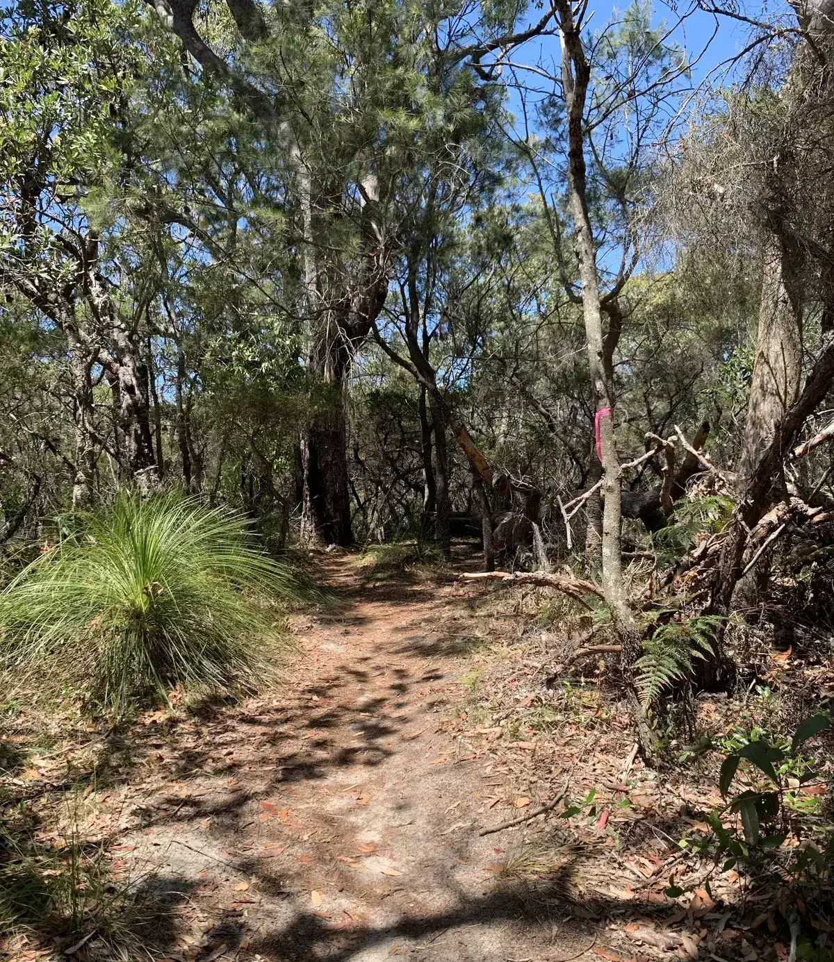 Lookout at Yanina Trail