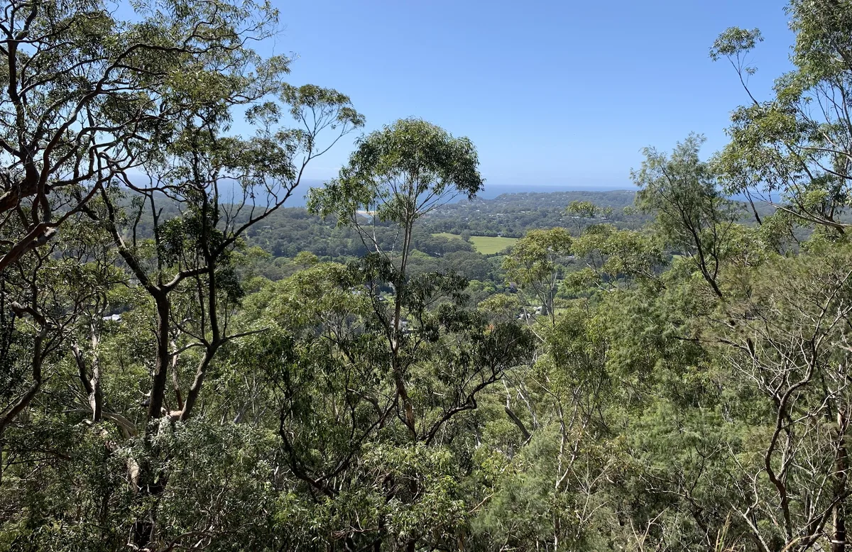 Lookout at Kincumber
