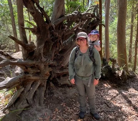 Tree root at Kincumber