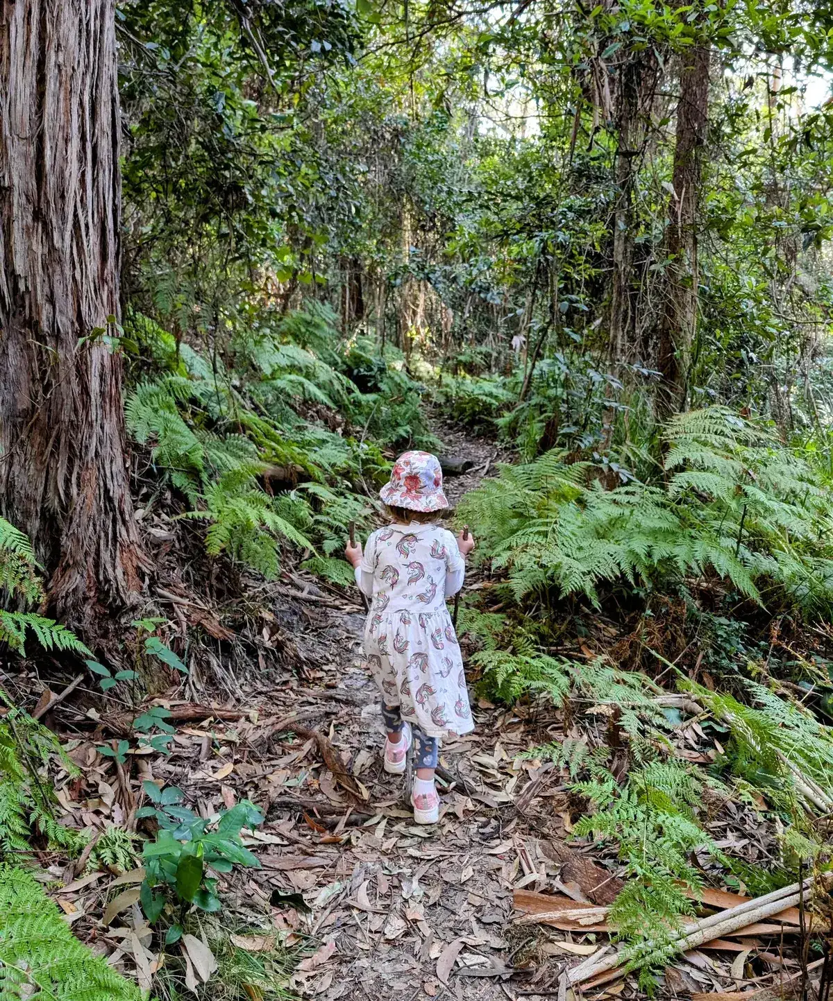 bushwalk to little beach