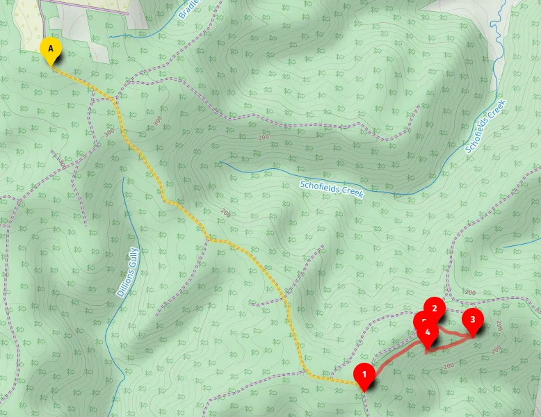 Walk map