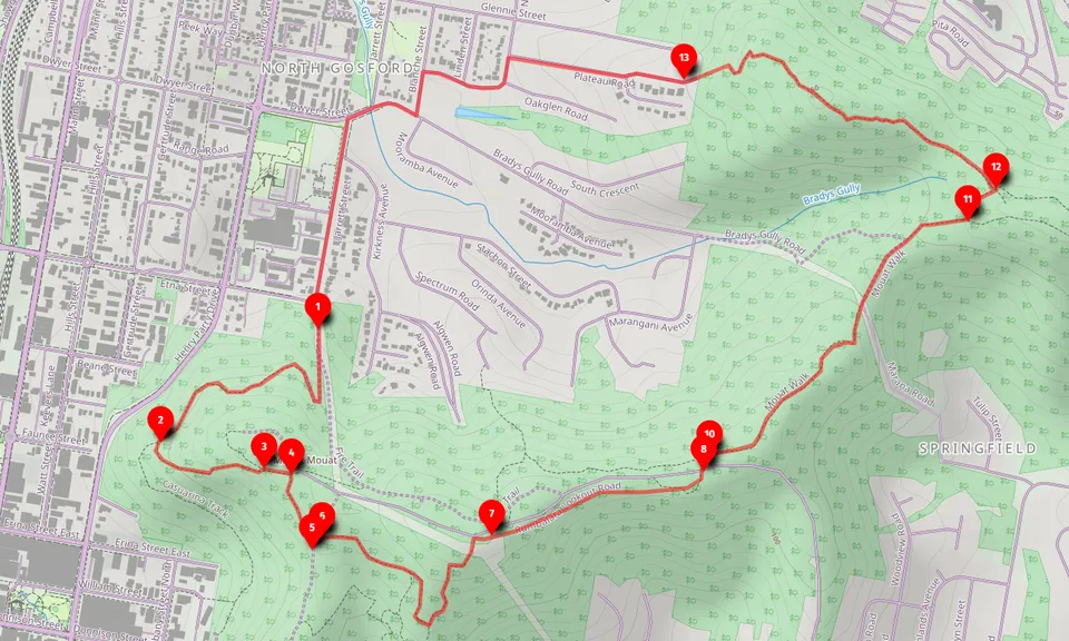 Walk map