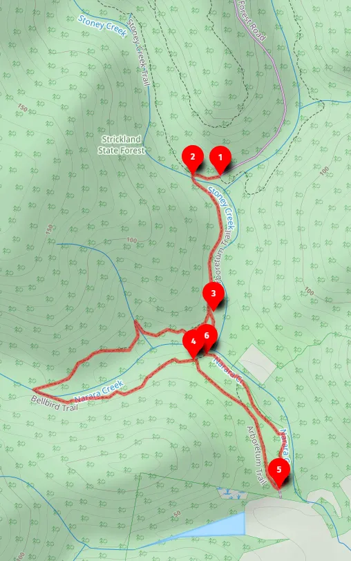 Walk map