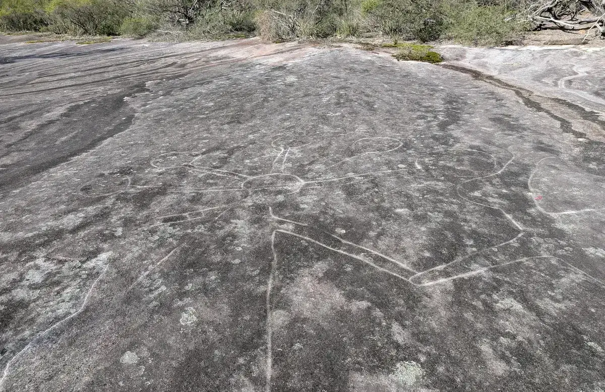 Aboriginal engraving of an animal figure spread across the sandstone