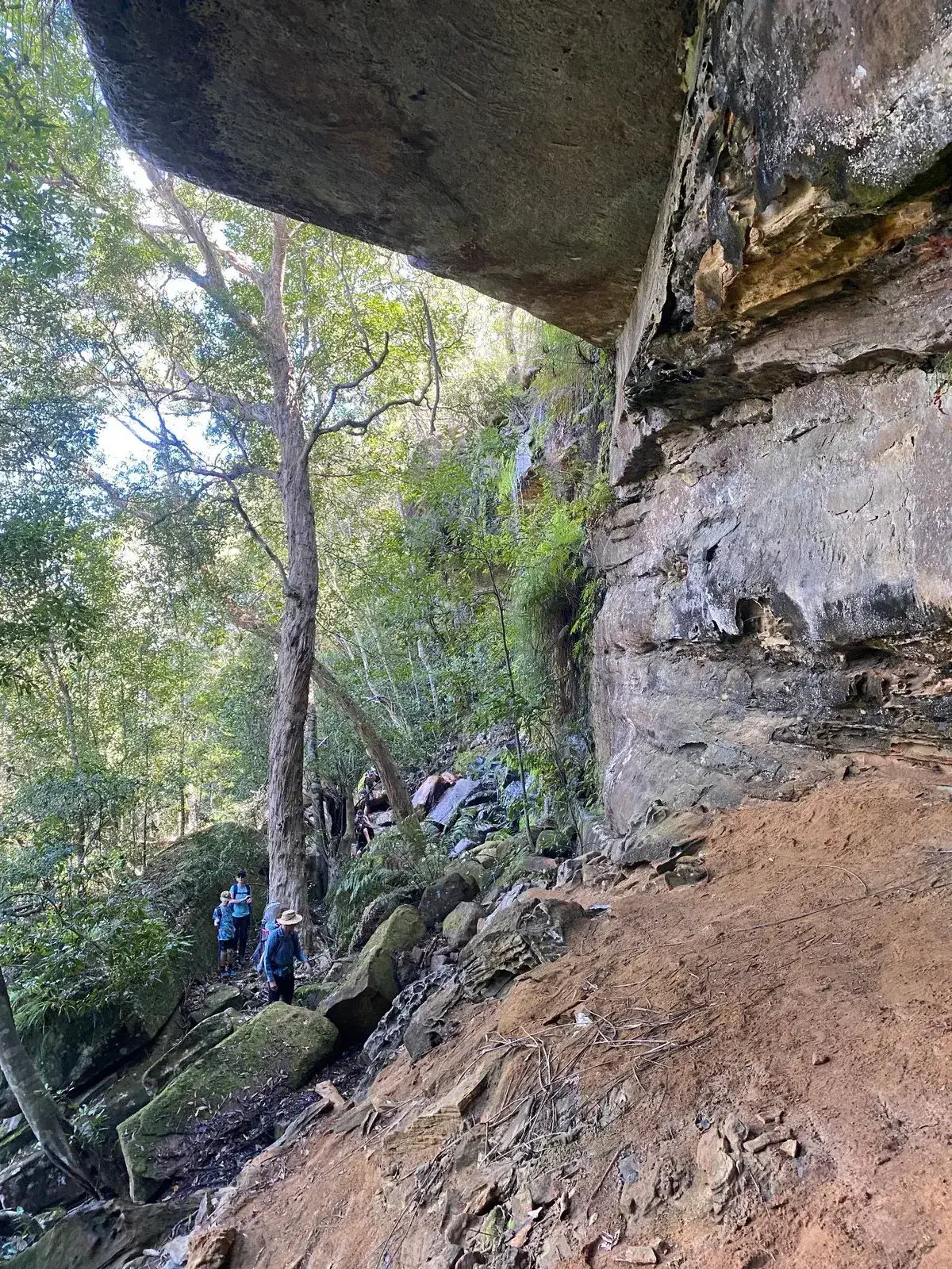 Central Coast Megacave