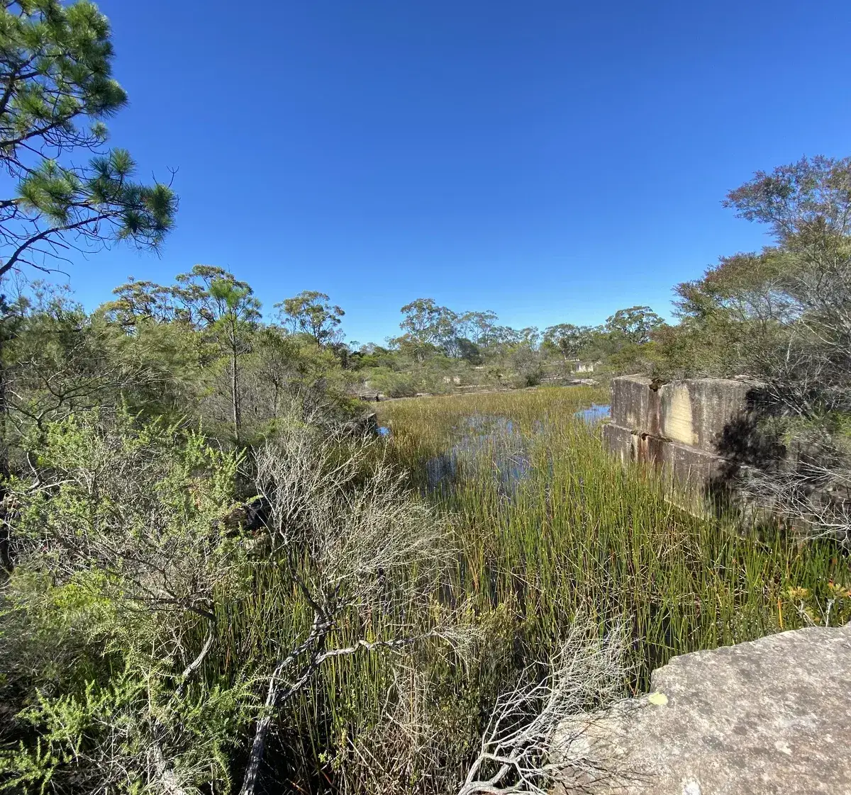 Somersby Aboriginal Quarry