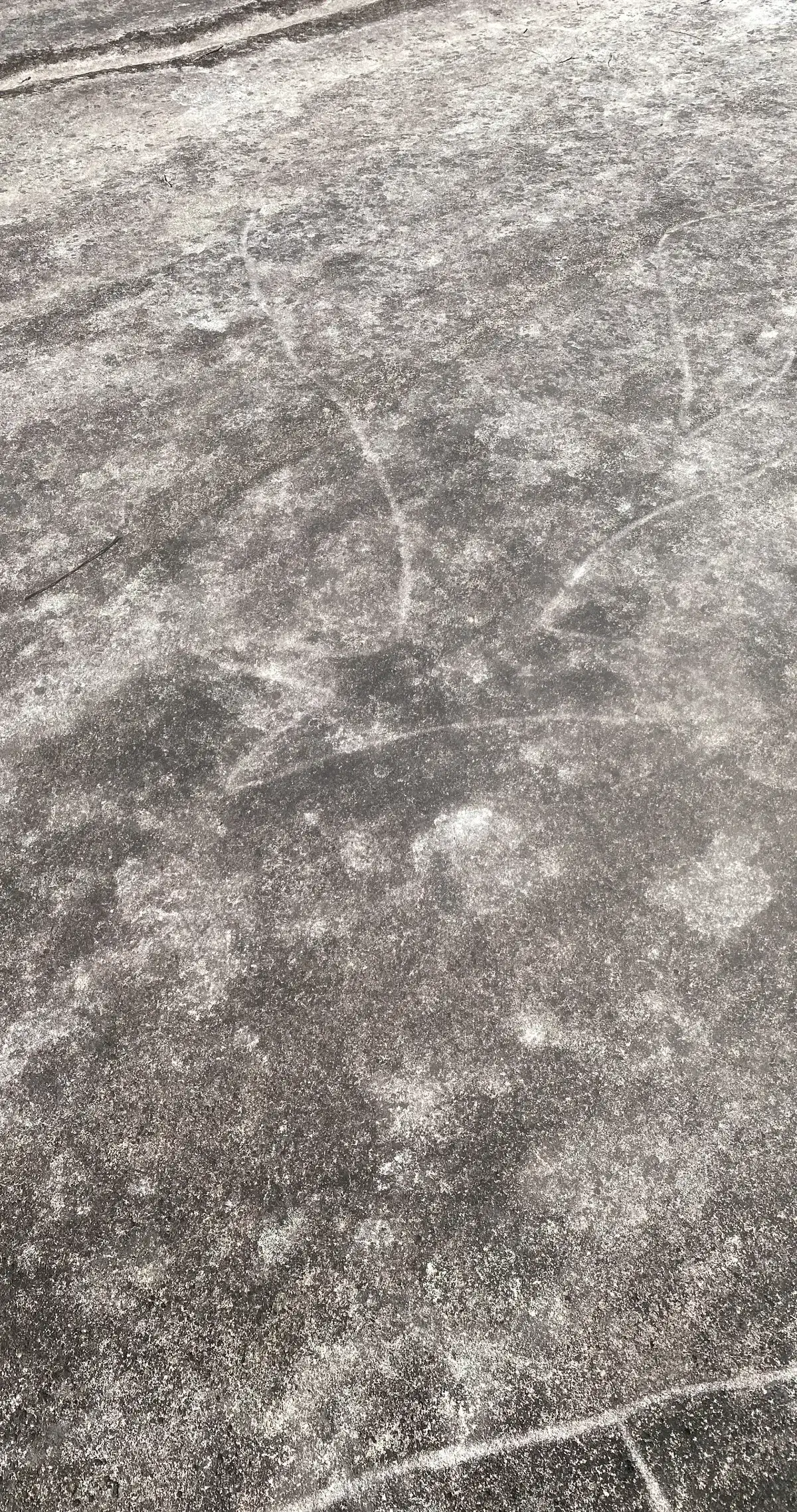Sandstone engraving barely visible in the midday sun