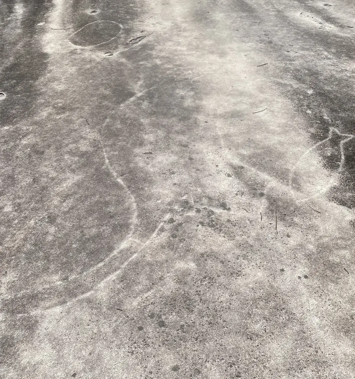 Fish outline engraving pecked into the open rock platform